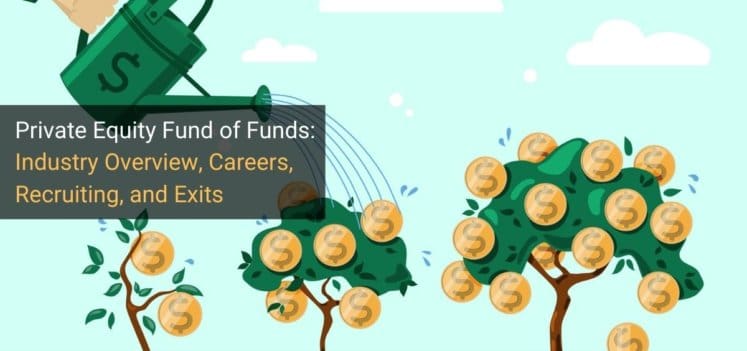 Private Equity Fund Of Funds Full Career Guide