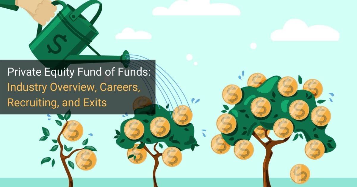 Private Equity Fund of Funds: Full Career Guide